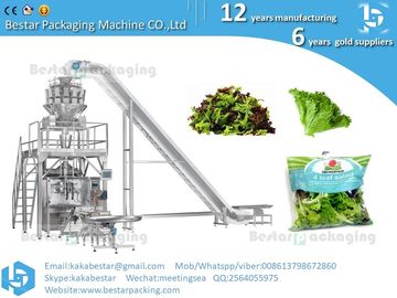 Máquina de embalaje automática vertical para ensaladas mixtas de temporada proveedor